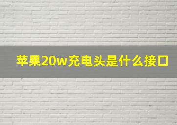 苹果20w充电头是什么接口