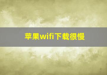 苹果wifi下载很慢