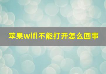 苹果wifi不能打开怎么回事