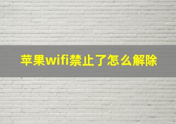 苹果wifi禁止了怎么解除