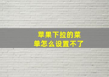 苹果下拉的菜单怎么设置不了