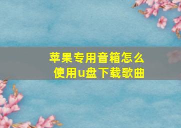 苹果专用音箱怎么使用u盘下载歌曲