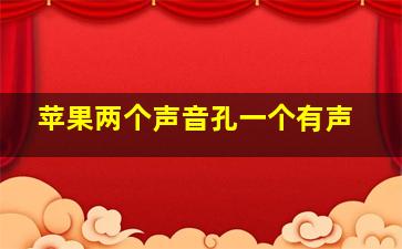 苹果两个声音孔一个有声