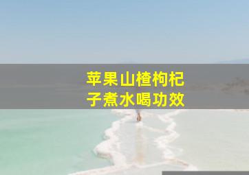 苹果山楂枸杞子煮水喝功效