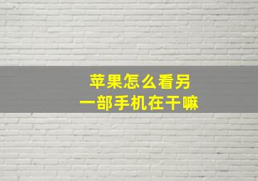 苹果怎么看另一部手机在干嘛