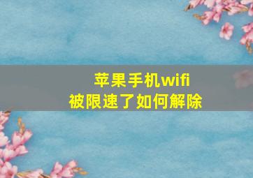 苹果手机wifi被限速了如何解除