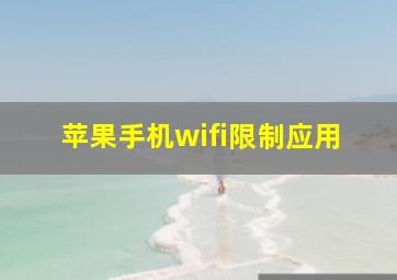 苹果手机wifi限制应用