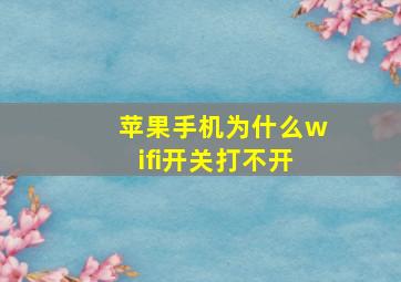 苹果手机为什么wifi开关打不开