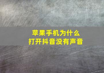 苹果手机为什么打开抖音没有声音