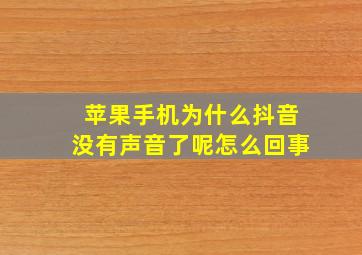 苹果手机为什么抖音没有声音了呢怎么回事