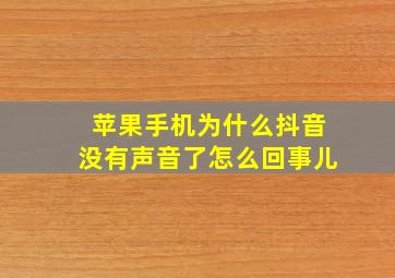 苹果手机为什么抖音没有声音了怎么回事儿