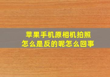 苹果手机原相机拍照怎么是反的呢怎么回事