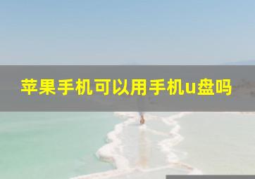 苹果手机可以用手机u盘吗