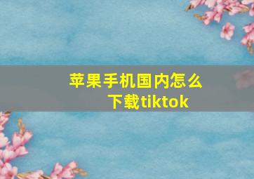 苹果手机国内怎么下载tiktok