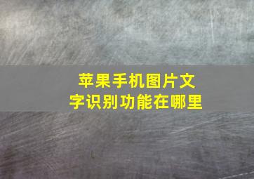 苹果手机图片文字识别功能在哪里