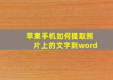 苹果手机如何提取照片上的文字到word