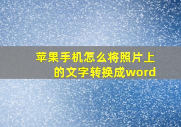 苹果手机怎么将照片上的文字转换成word