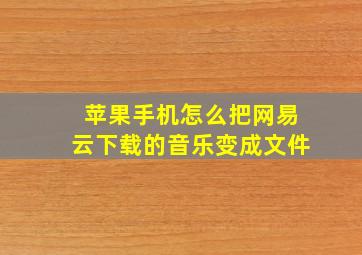 苹果手机怎么把网易云下载的音乐变成文件