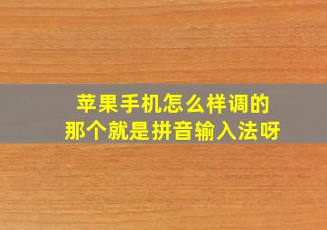 苹果手机怎么样调的那个就是拼音输入法呀