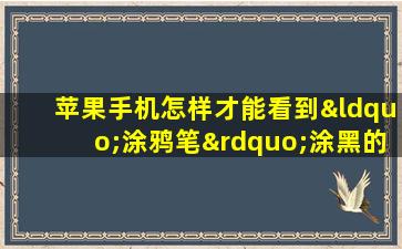 苹果手机怎样才能看到“涂鸦笔”涂黑的文字