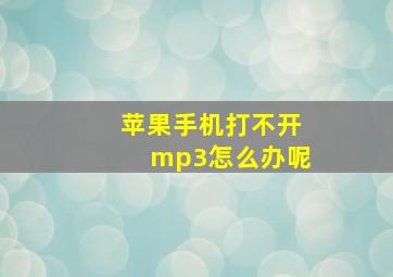 苹果手机打不开mp3怎么办呢