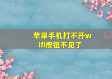 苹果手机打不开wifi按钮不见了