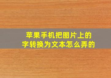 苹果手机把图片上的字转换为文本怎么弄的