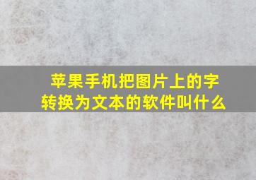 苹果手机把图片上的字转换为文本的软件叫什么