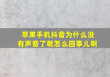 苹果手机抖音为什么没有声音了呢怎么回事儿啊