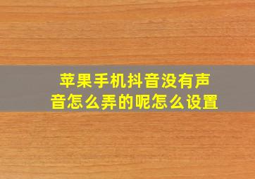 苹果手机抖音没有声音怎么弄的呢怎么设置