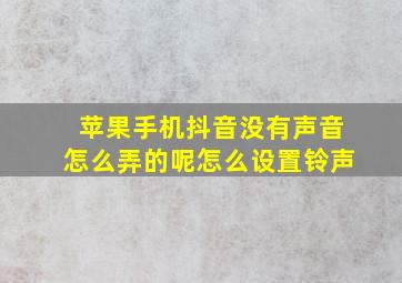 苹果手机抖音没有声音怎么弄的呢怎么设置铃声