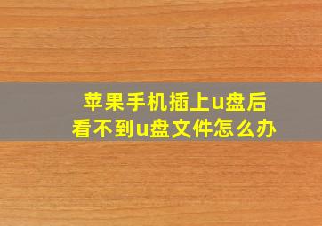 苹果手机插上u盘后看不到u盘文件怎么办