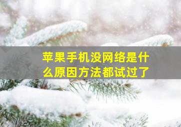 苹果手机没网络是什么原因方法都试过了