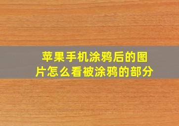 苹果手机涂鸦后的图片怎么看被涂鸦的部分