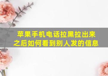 苹果手机电话拉黑拉出来之后如何看到别人发的信息