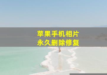 苹果手机相片永久删除修复