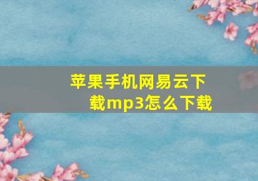 苹果手机网易云下载mp3怎么下载