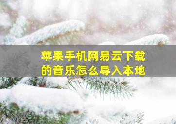 苹果手机网易云下载的音乐怎么导入本地