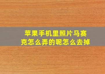 苹果手机里照片马赛克怎么弄的呢怎么去掉