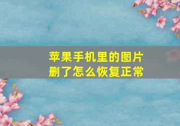 苹果手机里的图片删了怎么恢复正常