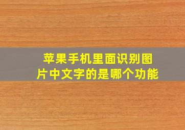 苹果手机里面识别图片中文字的是哪个功能