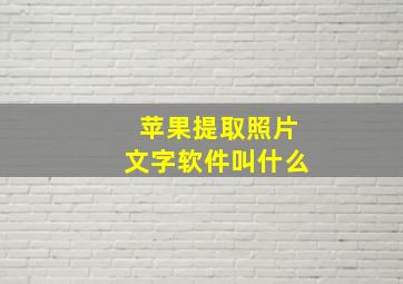 苹果提取照片文字软件叫什么