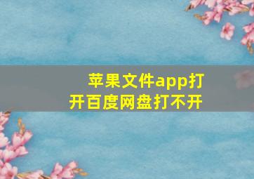 苹果文件app打开百度网盘打不开