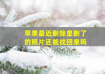 苹果最近删除里删了的照片还能找回来吗