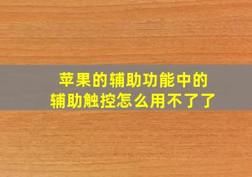 苹果的辅助功能中的辅助触控怎么用不了了