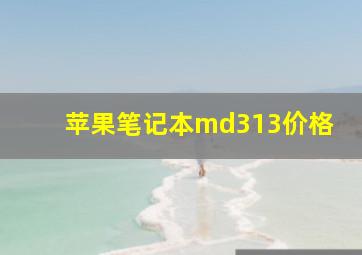 苹果笔记本md313价格