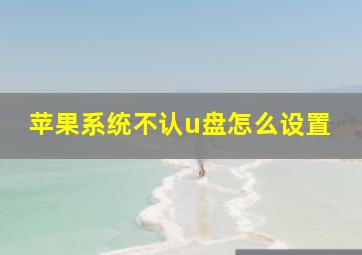 苹果系统不认u盘怎么设置