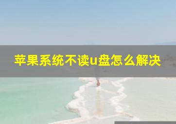 苹果系统不读u盘怎么解决