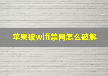 苹果被wifi禁网怎么破解