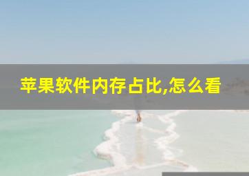 苹果软件内存占比,怎么看